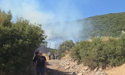 Bursa'da makilik alanda yangın!