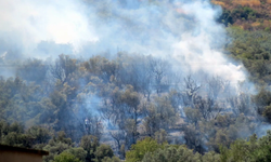 Mudanya'da korkutan yangın
