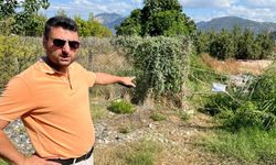 Korkunç olay: Asit çukuruna bastı!