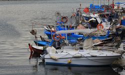 Marmara'daki balıkçılara "müsilaj" desteği