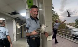 Acil serviste 'martı' vakası