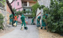 Her gün kilometrelerce alan temizleniyor