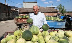 Konaklı kavununda rekor üretim