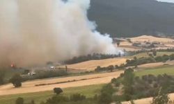Bursa'da bir yangın daha!
