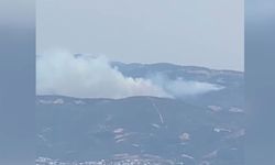 Bursa'da korkutan yangın!