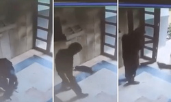 Kediyi katleden cani tutuklandı