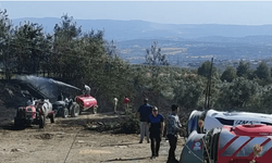 Çöplük yangını zeytinliğe sıçradı