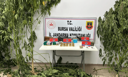 Bursa'da uyuşturucuya darbe!