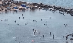 Mudanya'da denizde can pazarı