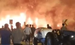 Meyve bahçesi alevlere teslim oldu
