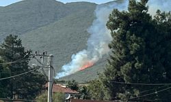 Bursa'da orman yangını!
