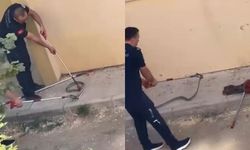 Bursa'da bahçeden çıktı: Tam 1,5 metre!