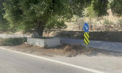 Bursa’da yol ortasında mezar!