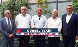 Gürsel Tekin'den kayyum heyetiyle ilk video