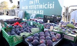 Bursa siyahı görücüye çıkıyor!