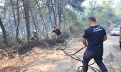Büyükşehir'den Gündoğdu yangını seferberliği
