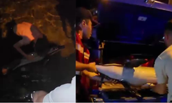 Ölü yunus balığı kıyıya vurdu!
