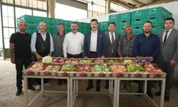 Yenişehir'in tarım ürünleri Libya yolunda