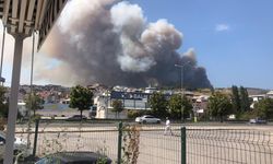 Bursa'da büyük orman yangını!
