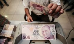 Vergi yüzsüzleri açıklanıyor
