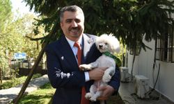 Bursa’da patili canlar için önemli iş birliği