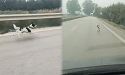 Bursa’da yürek burkan görüntü