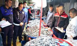 Yenişehir’de balık pazarına sıkı denetim