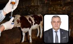Şap alarmına A Parti'den tepki: Görülmemiş olay!