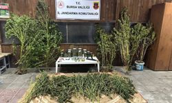 Bursa'da uyuşturucu operasyonu!