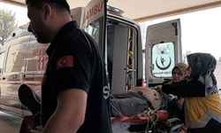 Bursa’da ağaçtan düşen adam hayatını kaybetti!