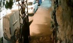 Bursa’da ilginç olay