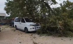 Lodos hayatı felç etti