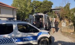 Uludağ'da kestane kavgası kanlı bitti