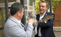 Can dostlar Osmangazi'de koruma altında