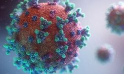 Yeni virüs alarmı: Hızla yayılıyor!