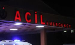 Ağaçtan düşen adam hayatını kaybetti