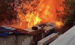 Bursa'da yangın ağaçlara sıçradı!