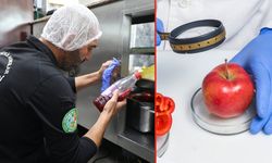 Türkiye'de gıda güvenliği alarm veriyor