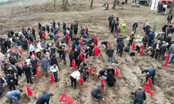 Bursa'da şehitler anısına fidan dikildi