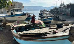 Bursa kıyıları balığa hasret