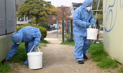 Osmangazi’de halk sağlığı için kollar sıvandı