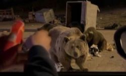 Uludağ’da tehlikeli anlar! Ölümden döndüler