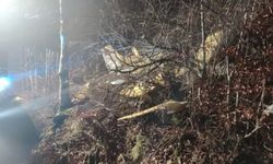 Kayıp yangın söndürme uçağından acı haber