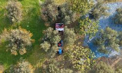 Marmarabirlik'ten 50 milyon dolarlık hedef