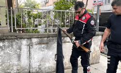 Huzur denetiminden av tüfeği çıktı!
