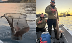 Gemlik Körfezi'nde şaşırtan av!