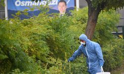 Şehrin sağlığı için kollar sıvandı