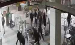 Bursa'da sokak karıştı! Baba-oğul dehşet saçtı