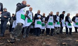 Harmancık’ta yanan alanlar yeşertiliyor