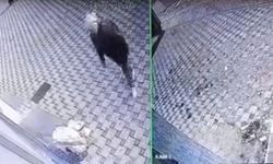 Bursa'da pazar arabası hırsızlığı!